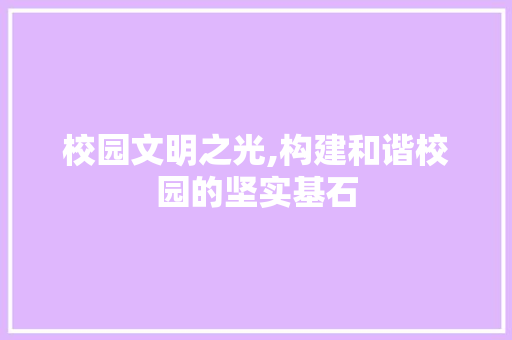 校园文明之光,构建和谐校园的坚实基石