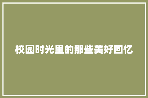 校园时光里的那些美好回忆