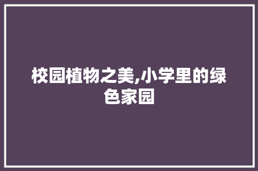 校园植物之美,小学里的绿色家园