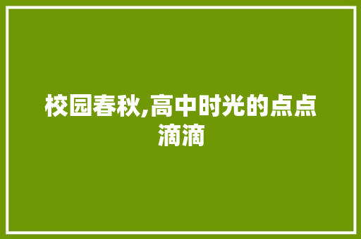 校园春秋,高中时光的点点滴滴