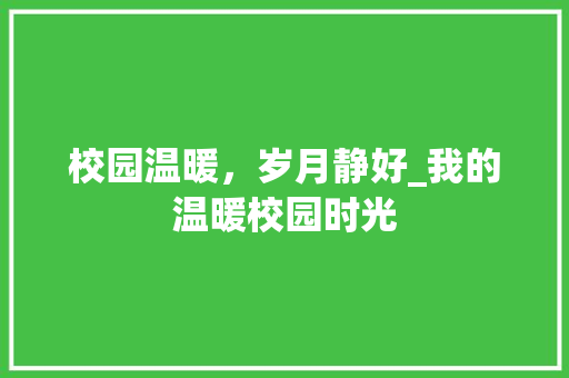 校园温暖，岁月静好_我的温暖校园时光