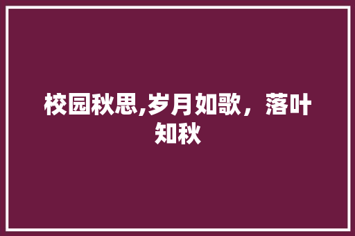 校园秋思,岁月如歌，落叶知秋