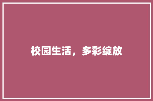 校园生活，多彩绽放