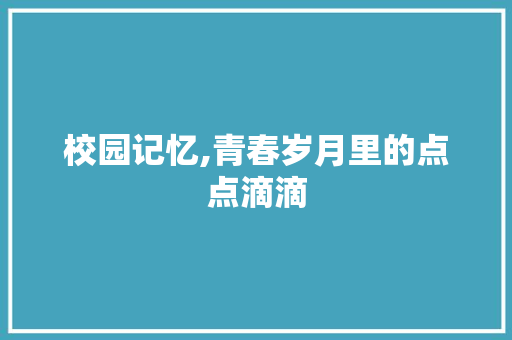 校园记忆,青春岁月里的点点滴滴