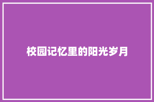 校园记忆里的阳光岁月