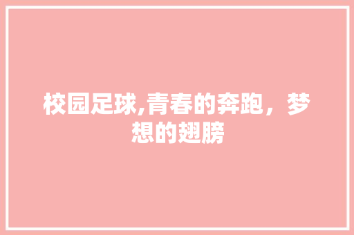 校园足球,青春的奔跑，梦想的翅膀