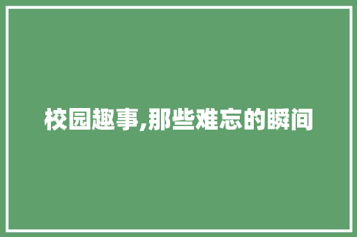 校园趣事,那些难忘的瞬间