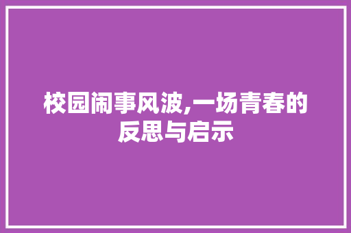 校园闹事风波,一场青春的反思与启示