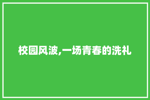 校园风波,一场青春的洗礼