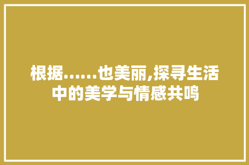 根据……也美丽,探寻生活中的美学与情感共鸣