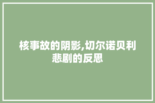 核事故的阴影,切尔诺贝利悲剧的反思