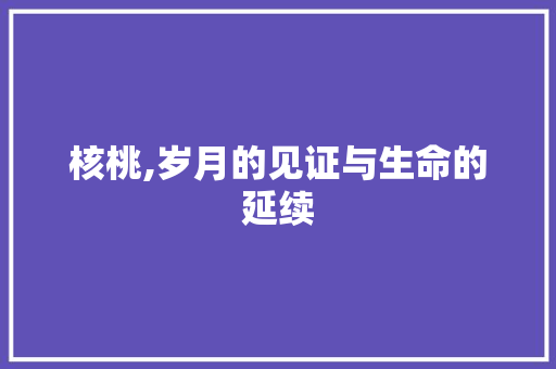 核桃,岁月的见证与生命的延续