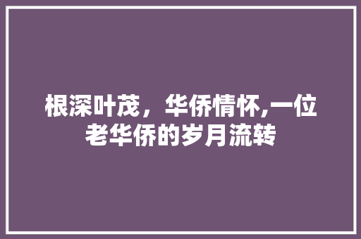 根深叶茂，华侨情怀,一位老华侨的岁月流转