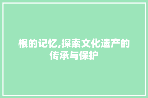 根的记忆,探索文化遗产的传承与保护