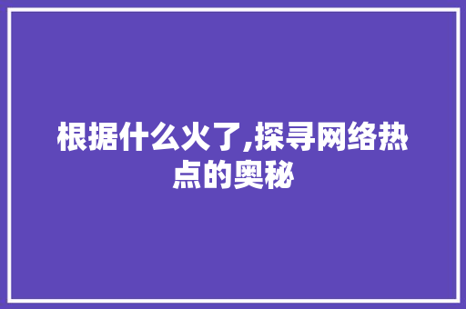 根据什么火了,探寻网络热点的奥秘