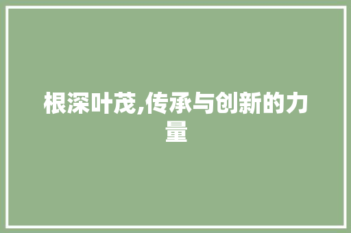 根深叶茂,传承与创新的力量