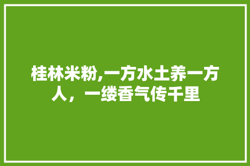 桂林米粉,一方水土养一方人，一缕香气传千里