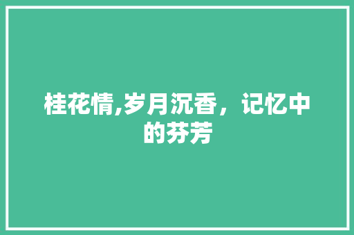 桂花情,岁月沉香，记忆中的芬芳