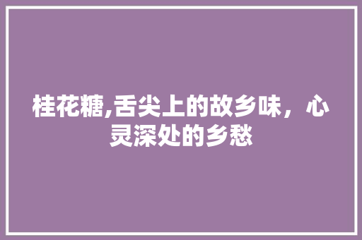 桂花糖,舌尖上的故乡味，心灵深处的乡愁