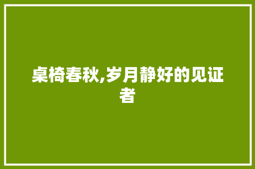 桌椅春秋,岁月静好的见证者