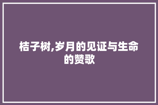 桔子树,岁月的见证与生命的赞歌