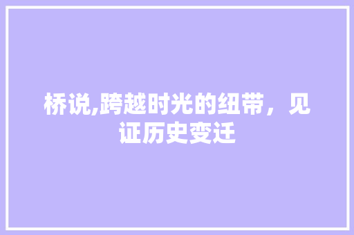 桥说,跨越时光的纽带，见证历史变迁