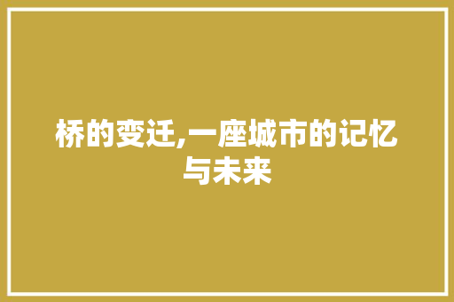 桥的变迁,一座城市的记忆与未来