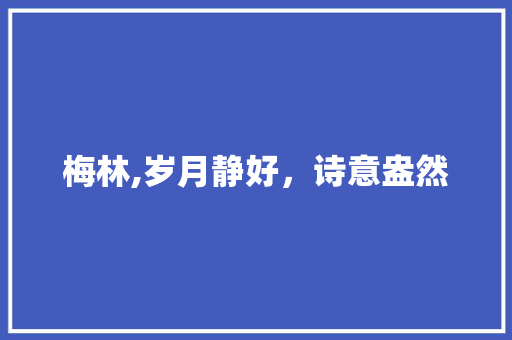 梅林,岁月静好，诗意盎然