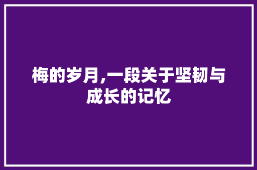 梅的岁月,一段关于坚韧与成长的记忆