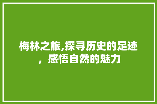 梅林之旅,探寻历史的足迹，感悟自然的魅力