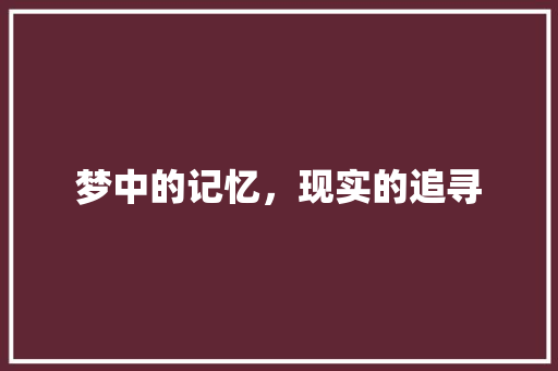 梦中的记忆，现实的追寻