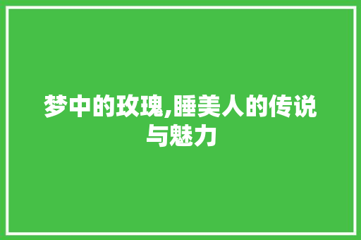 梦中的玫瑰,睡美人的传说与魅力