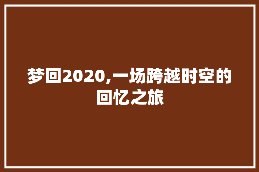 梦回2020,一场跨越时空的回忆之旅