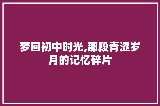 梦回初中时光,那段青涩岁月的记忆碎片