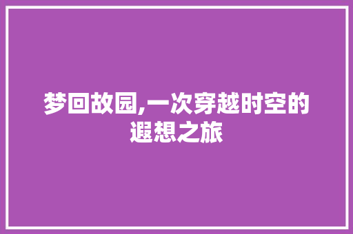 梦回故园,一次穿越时空的遐想之旅