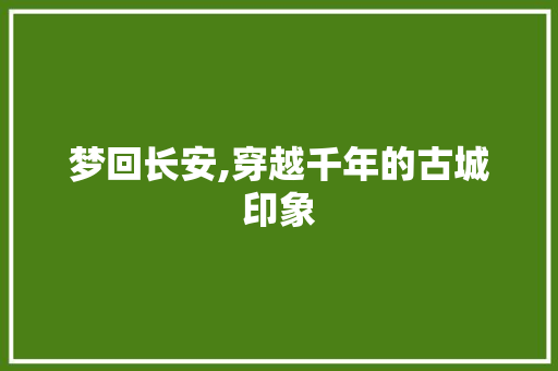 梦回长安,穿越千年的古城印象