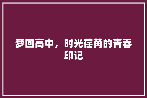 梦回高中，时光荏苒的青春印记