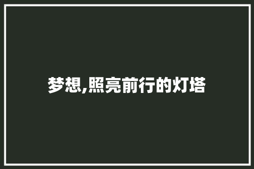 梦想,照亮前行的灯塔