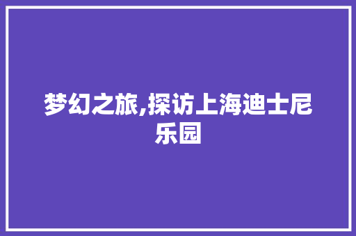 梦幻之旅,探访上海迪士尼乐园