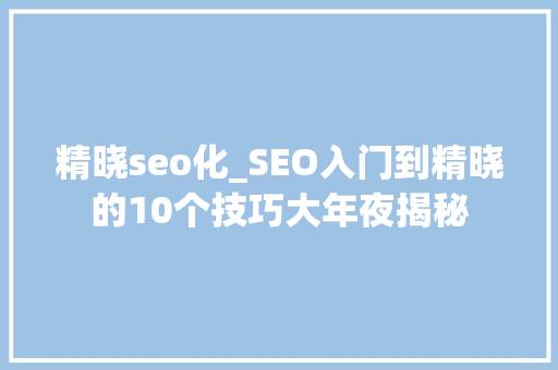 精晓seo化_SEO入门到精晓的10个技巧大年夜揭秘 申请书范文