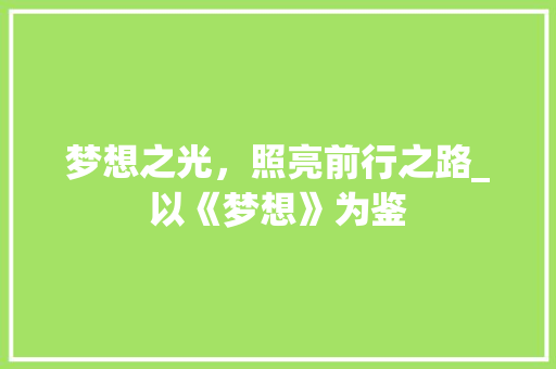 梦想之光，照亮前行之路_以《梦想》为鉴