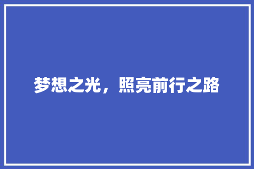 梦想之光，照亮前行之路