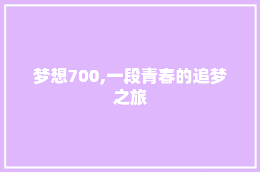 梦想700,一段青春的追梦之旅