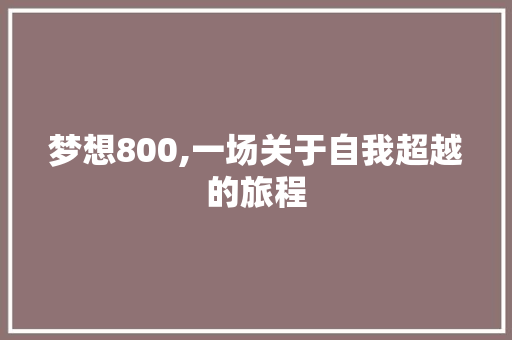 梦想800,一场关于自我超越的旅程