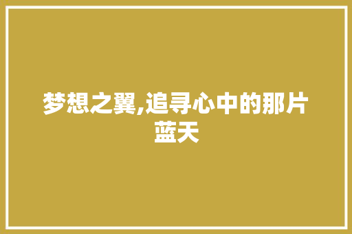 梦想之翼,追寻心中的那片蓝天