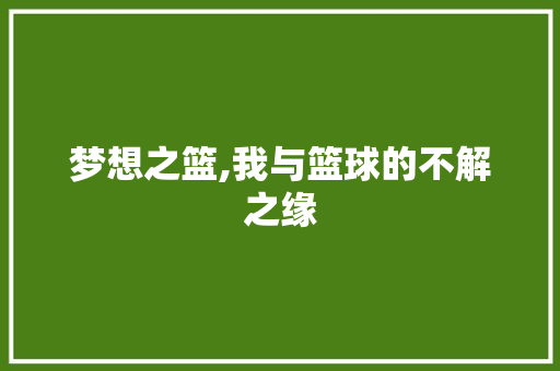 梦想之篮,我与篮球的不解之缘