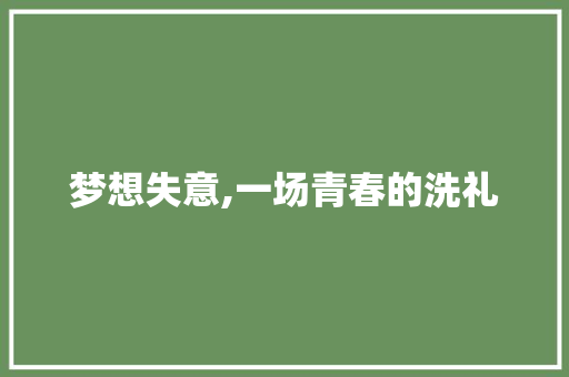 梦想失意,一场青春的洗礼