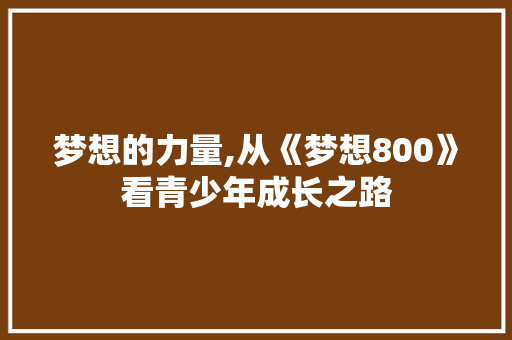 梦想的力量,从《梦想800》看青少年成长之路