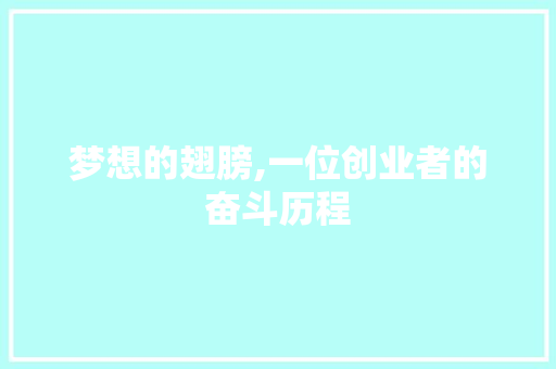 梦想的翅膀,一位创业者的奋斗历程