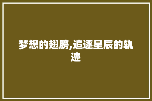 梦想的翅膀,追逐星辰的轨迹